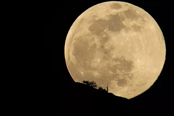 Gökyüzünde ‘Süper Ay’ gecesi: Ay, Düny...