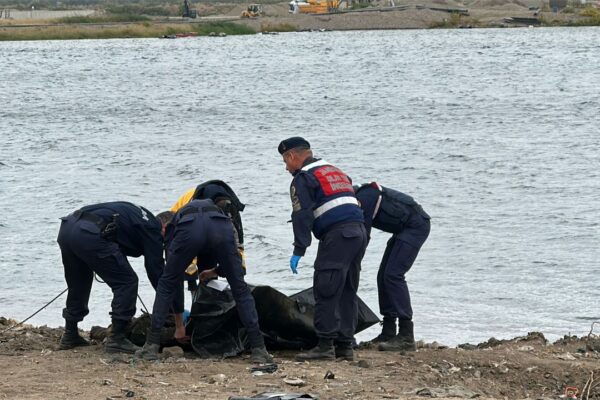 Nehirde korkunç olay: Erkek cesedi bulundu
