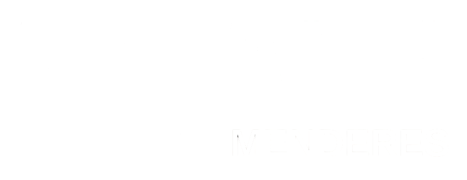 theme-sticky-logo-alt