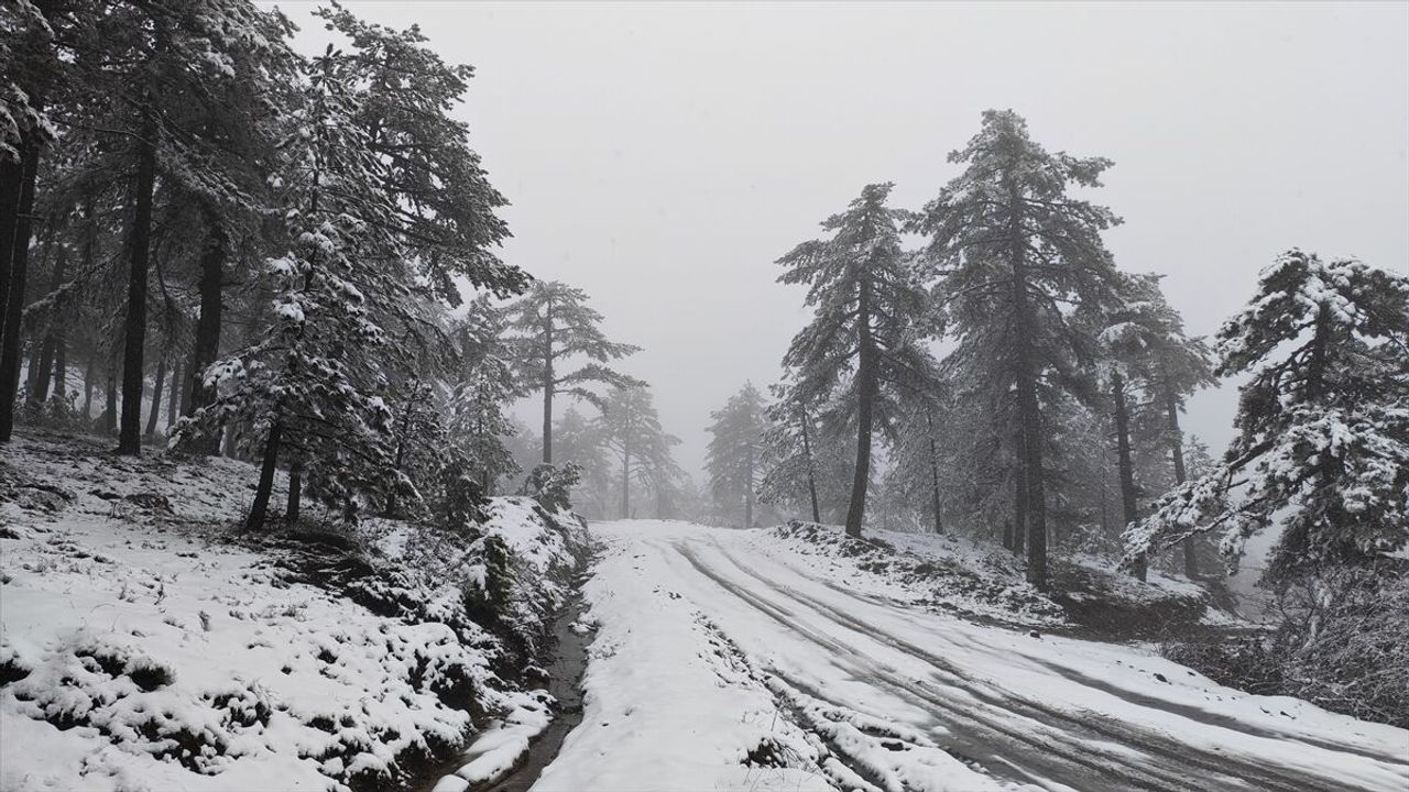 Kar sürprizi: Demirci beyaza büründü