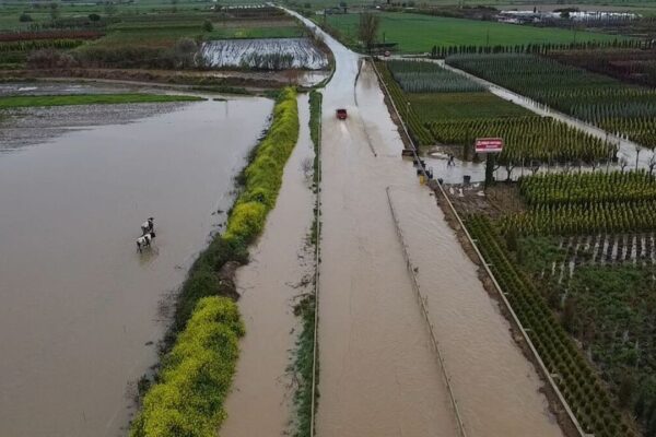 İzmir’in tarım deposunu sel vurdu!